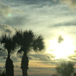 Meet your Posher, Candace